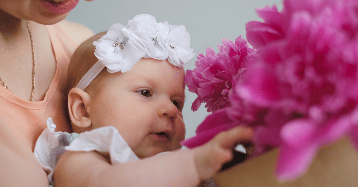 Birth Flowers: Discover Your Baby’s Flower and Its Meaning